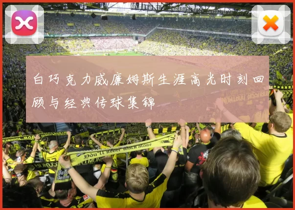 白巧克力威廉姆斯生涯高光时刻回顾与经典传球集锦