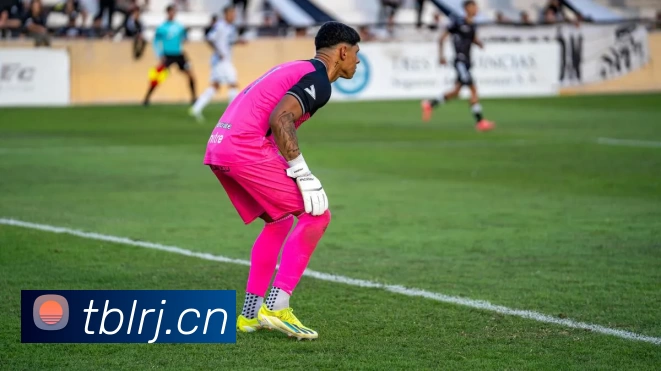 乐动体育·LD(中国)官方网站平台生态图